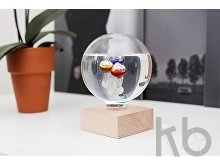 Термометр «Galileo»