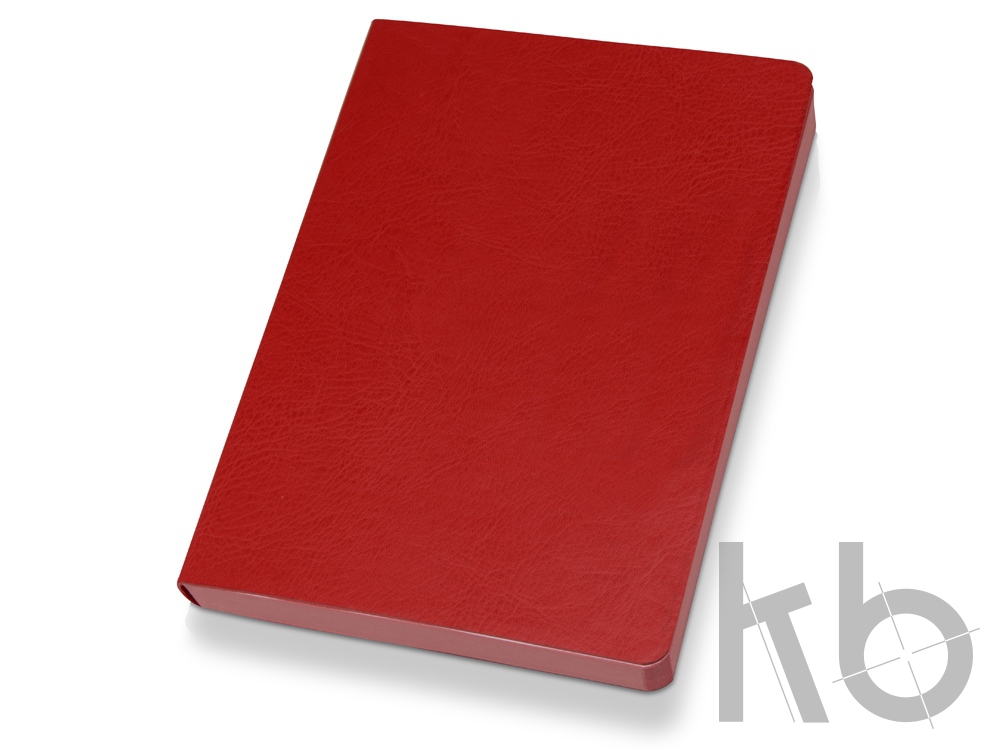 Ежедневник недатированный А5 «Vivid Flex AR»