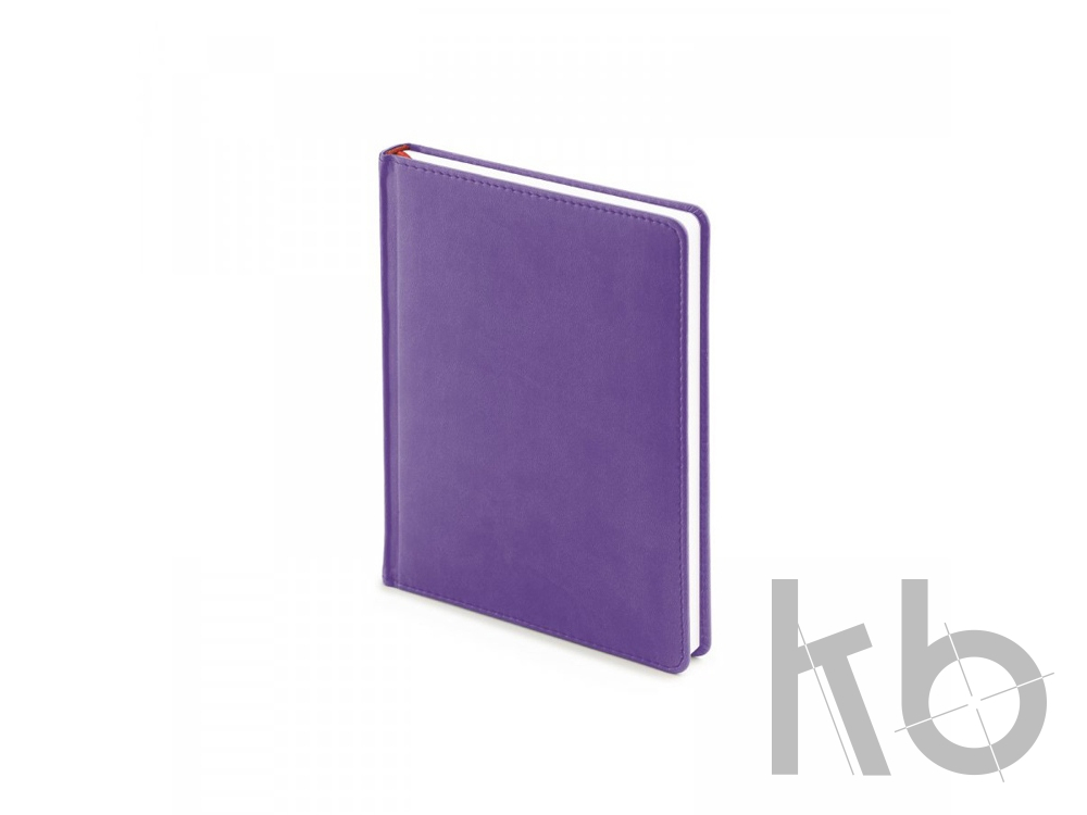 Ежедневник недатированный А6+ «Velvet»