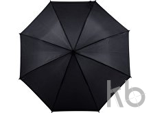 Polyester (190T) umbrella