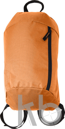 Polyester (210D) backpack