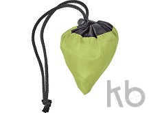 Polyester (210D) shopping bag