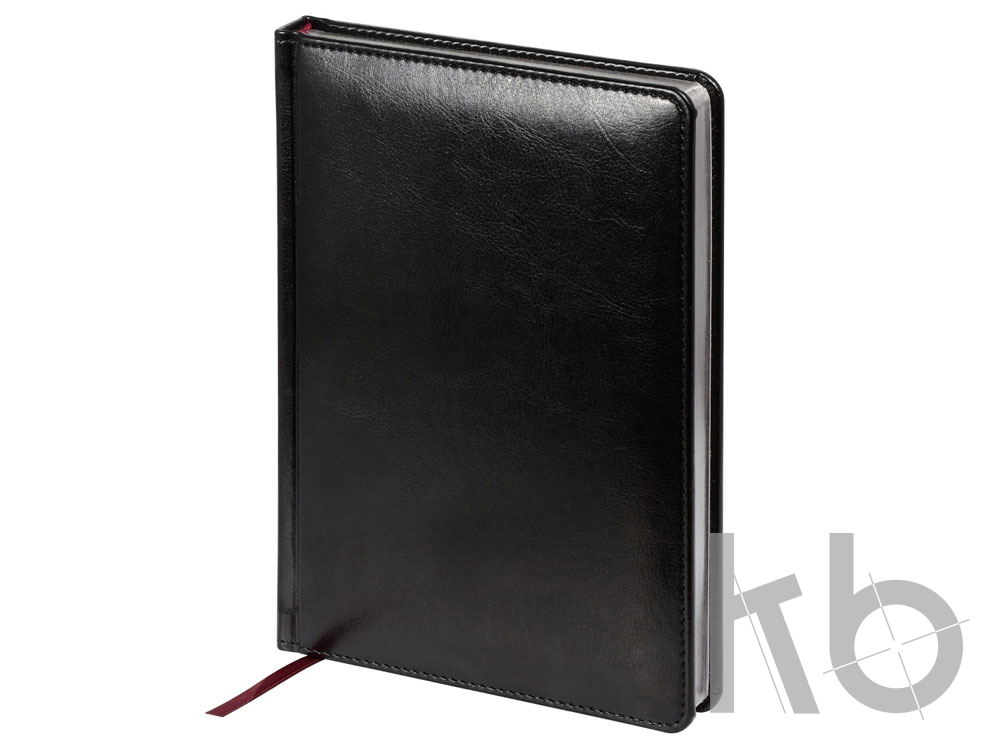 Ежедневник недатированный А5 «Sidney Nebraska»