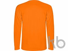 Футболка с длинным рукавом «Montecarlo» мужская