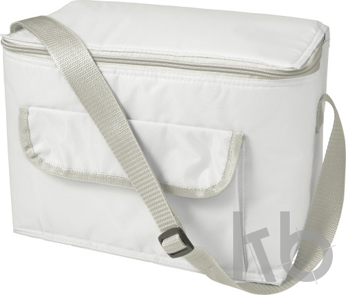Polyester (420D) cooler bag