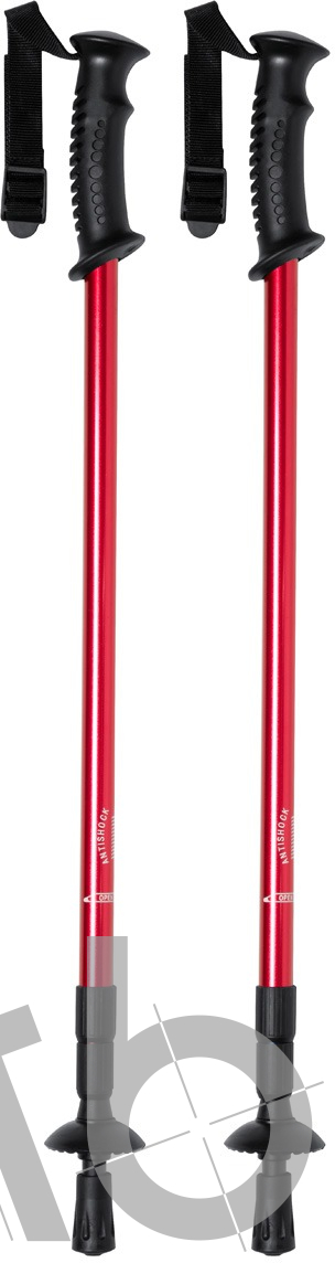 nordic walking sticks