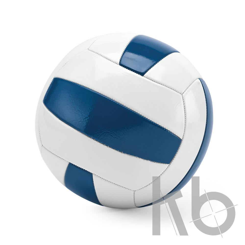 Волейбольный мяч