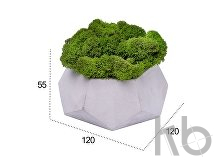 Кашпо бетонное со мхом «Альфа»