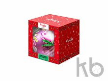 Стеклянный шар «Ботаника»