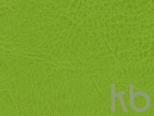 Ежедневник недатированный А5 «Vivid Flex AR»