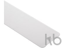 anti-bacterial ruler