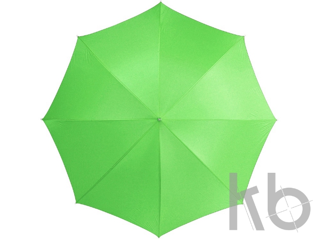 Зонт-трость "Lisa"