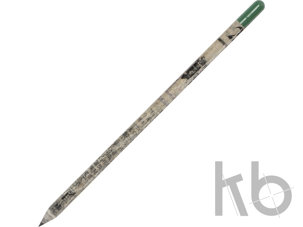 Карандаш, который растет. Ель голубая