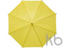 Polyester (170T) umbrella
