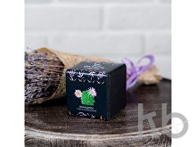 Набор для выращивания «Small village cube «Эхиноцереус»