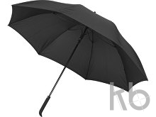 Polyester (190T) umbrella