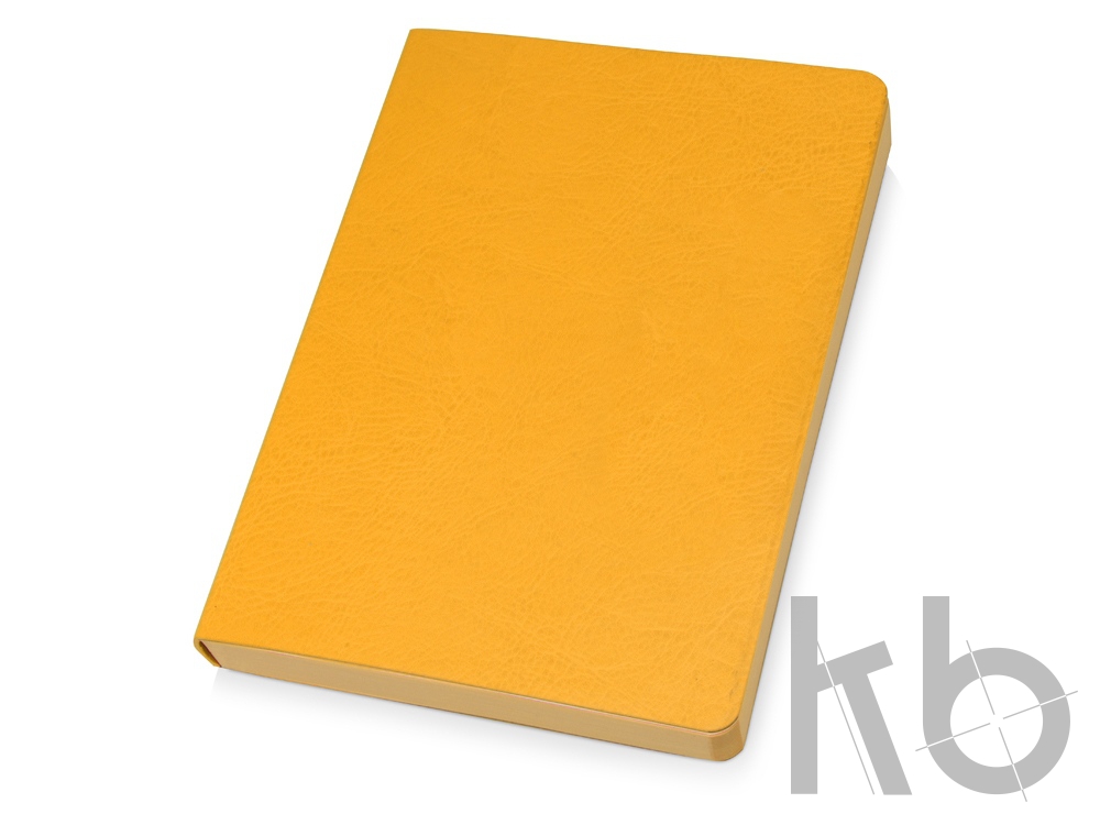 Ежедневник недатированный А5 «Vivid Flex AR»