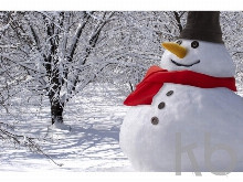 Набор аксессуаров для снеговика