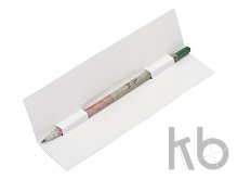 Карандаш, который растет. Ель голубая