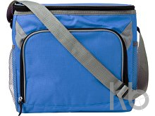Polyester (600D) cooler bag