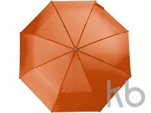 Polyester (210T) umbrella