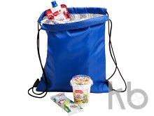 cooler bag