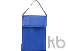 Polyester  (420D) cooler/lunch bag