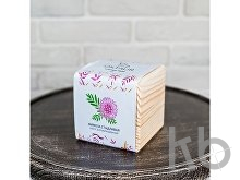 Набор для выращивания «Big village cube «Мимоза стыдливая»