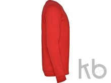 Свитшот «Annapurna» мужской