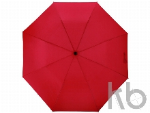 Зонт складной «Андрия»