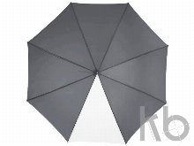 Зонт-трость «Tonya»