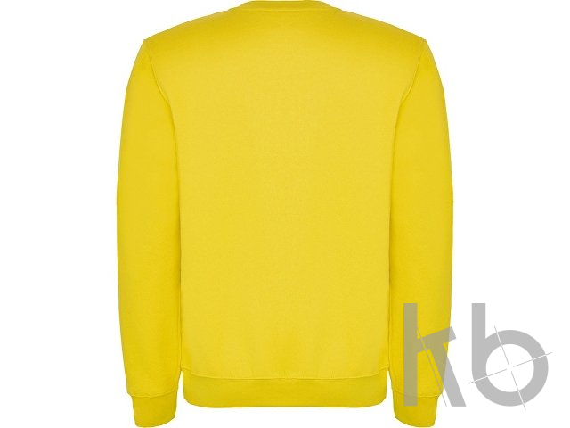 Свитшот с начесом «Clasica» унисекс