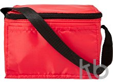 Polyester (210D) cooler bag