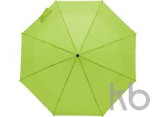 Polyester (170T) umbrella