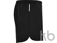 Спортивные шорты «Everton», мужские