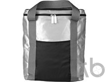 Polyester (420D) cooler bag