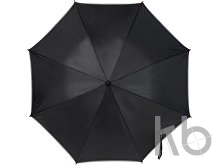 Polyester (190T) umbrella