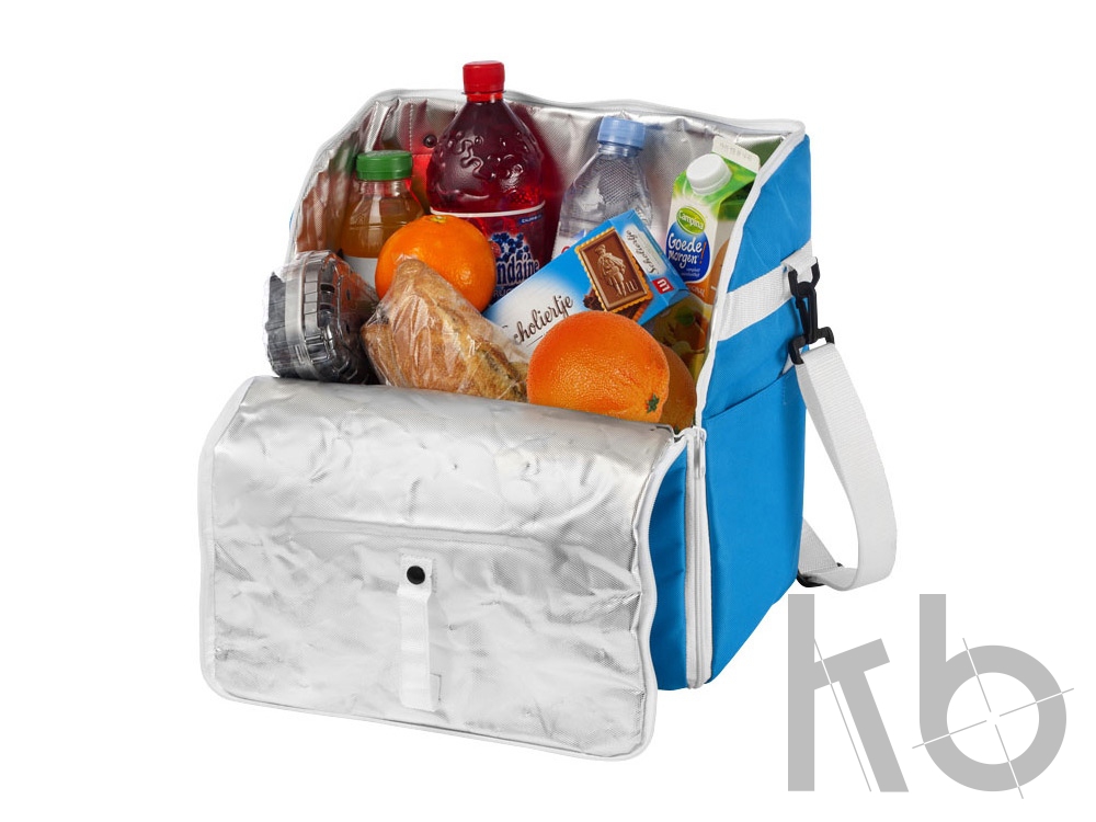 Сумка-рюкзак холодильник «Reykjavik»