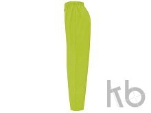 Брюки «Vademecum», унисекс