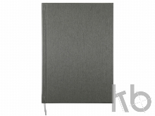 Ежедневник недатированный А5 «Probe AR»