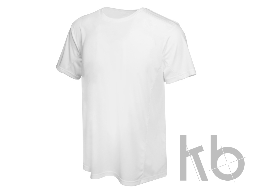 Футболка спортивная «Turin», мужская