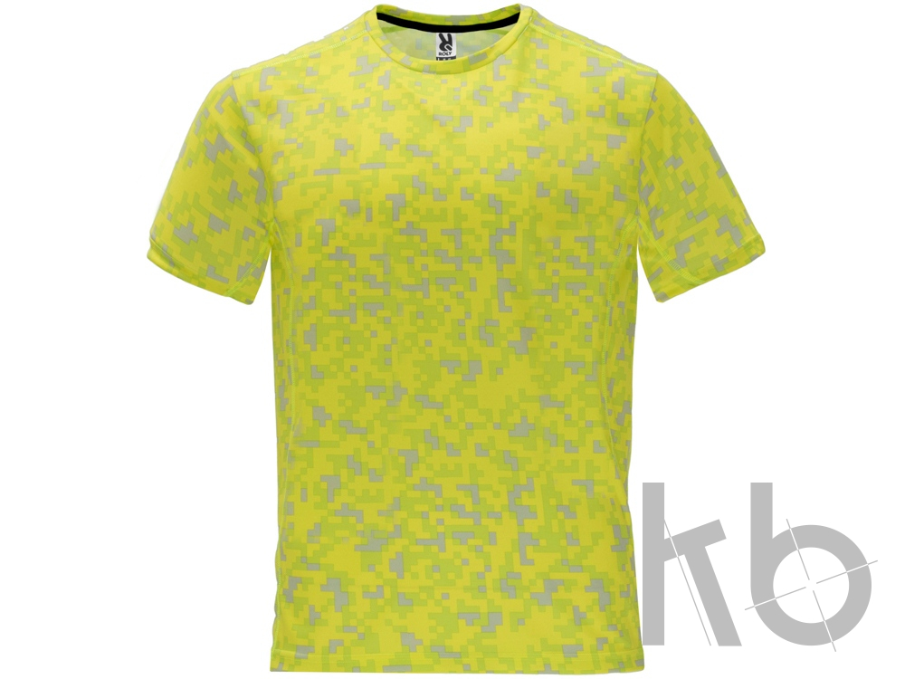 Спортивная футболка «Assen» мужская