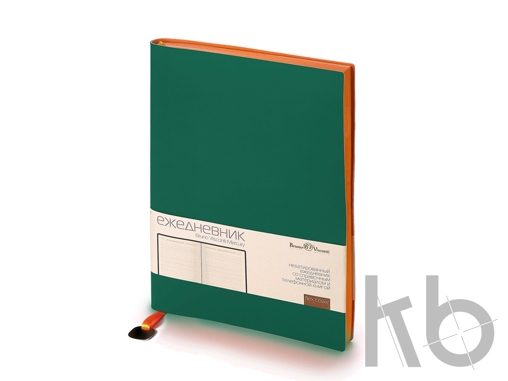 Ежедневник недатированный А5 «Mercury»