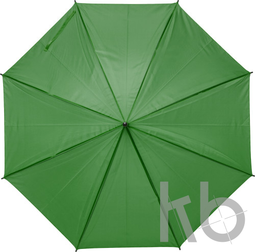 Polyester (170T) umbrella