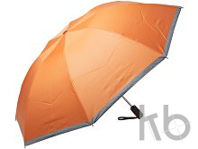 reflective umbrella