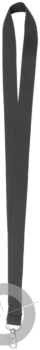lanyard