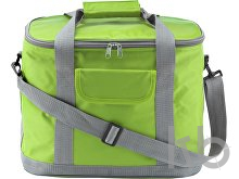 Polyester (420D) cooler bag