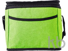 Polycanvas (600D) cooler bag