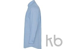 Рубашка с длинным рукавом «Oxford», мужская