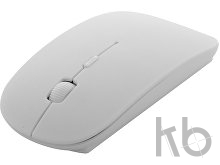 anti-bacterial optical mouse